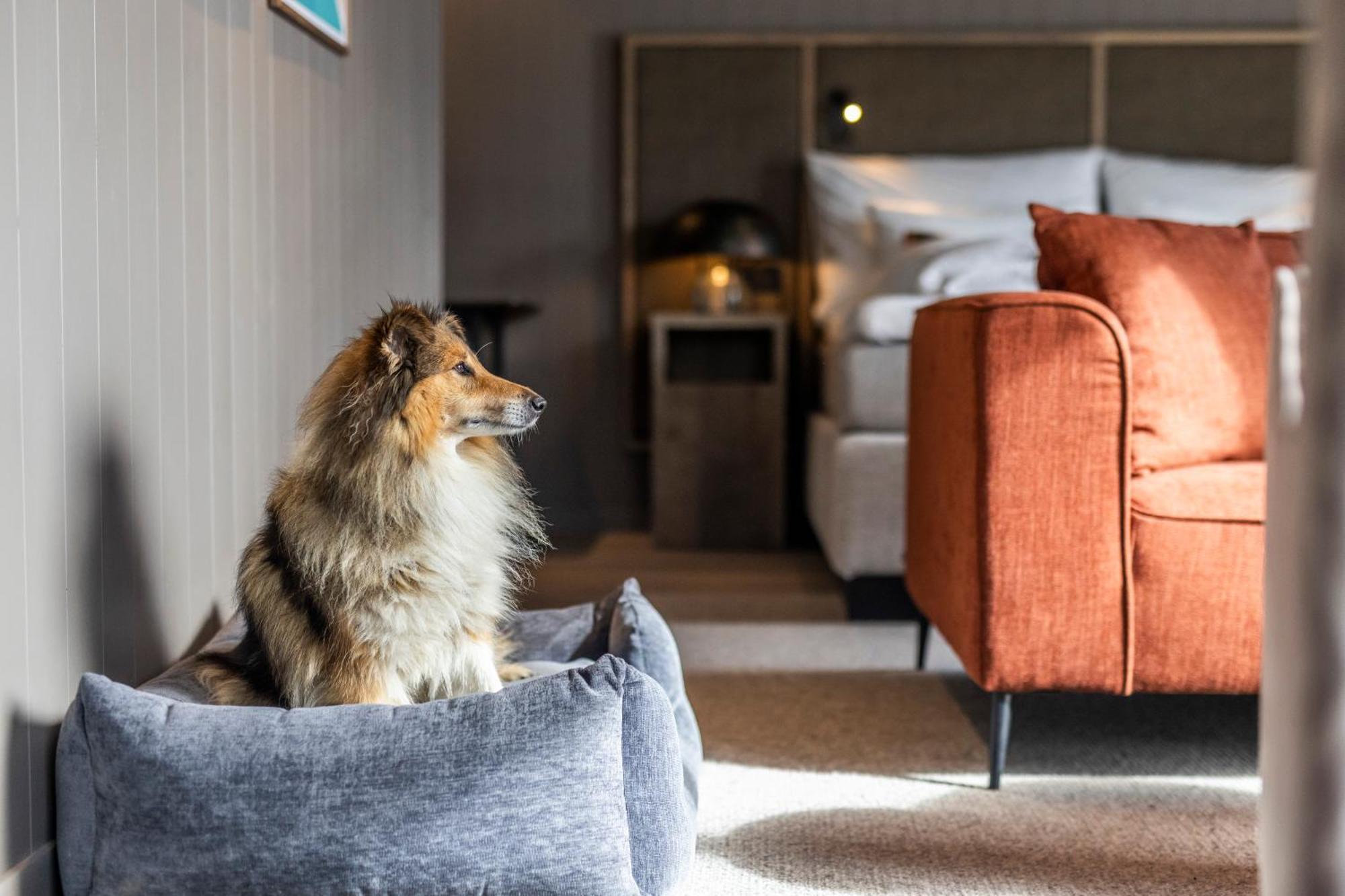 Henningsvaer Bryggehotell - By Classic Norway Hotels Esterno foto